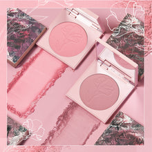 Load image into Gallery viewer, Coast to Coast
