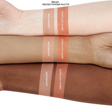 Load image into Gallery viewer, Good Luck Charm
